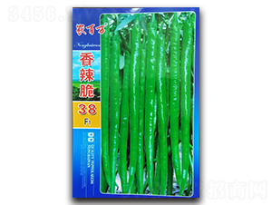 ������38��-�߽�����-ũ����