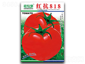 �쿹818-��������-�����ҵ