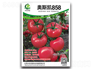 ��˹��858-��������-��ũ����