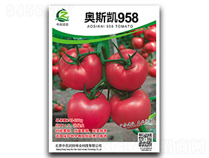 ��˹��958-��������-��ũ����