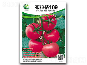 ������109-��������-��ũ����
