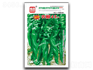 ũ��43-��˿������-������ҵ
