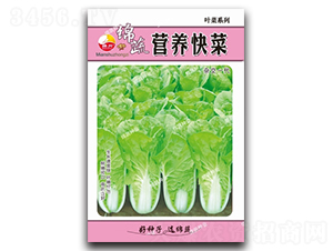 Ӫ�����-�������-������ҵ