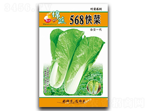 568���-�������-������ҵ