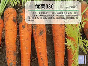 ����336-�ܲ�����-��֮��