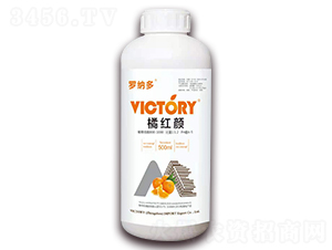 500ml�ٺ���-���ɶ�-ά������