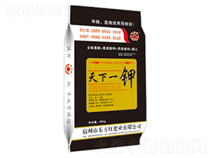 ����һ��-������