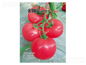 ��Բ��5207-��������-������ҵ