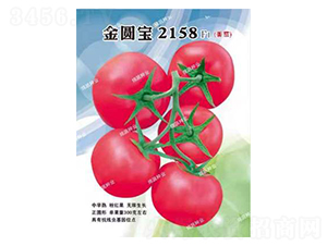 ��Բ��2158-��������-������ҵ