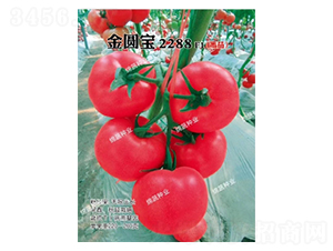 ��Բ��2288-��������-������ҵ