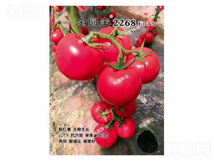 ��Բ��2268-��������-������ҵ