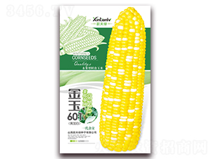 ����601-��Ŵ��������-�����