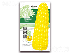 �ƽ�Ŵ318-��Ŵ��������-�����