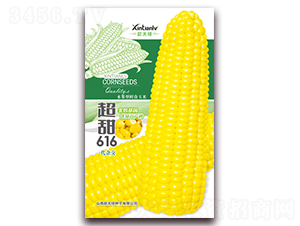 ����616-��Ŵ��������-�����