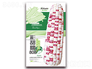 ����Ŵ808-��Ŵ��������-�����