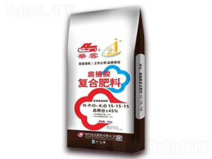 ��ֲ�Ḵ�Ϸ���15-15-15-����-�Ĵ����
