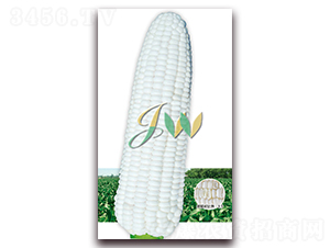 ���Ŵ808-��ʳ��������-Ӫ�ھ���
