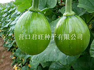 ��������-�Ϲ�����-Ӫ�ھ���