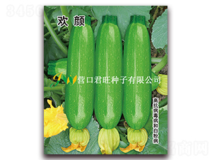 ����-����«����-Ӫ�ھ���