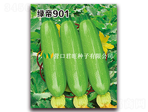 �̵�901-����«����-Ӫ�ھ���