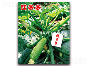 Ǯ���-����«����-Ӫ�ھ���