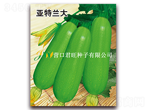 ��������-����«����-Ӫ�ھ���