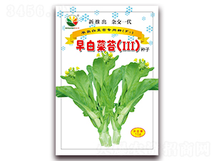 ��ײ�̦III-�ײ�̦����-ũ֮��