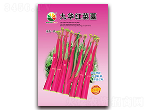 �Ż����޷-��̦����-ũ֮��