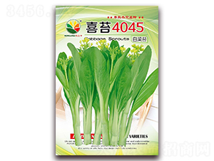 ϲ̦4045-��̦����-ũ֮��