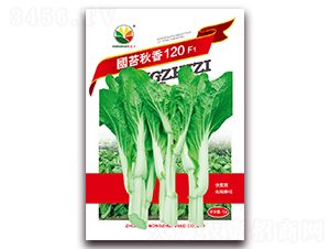 ��̦����120-��̦����-ũ֮��