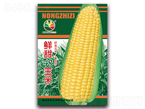 ����48����-��������-ũ֮��