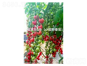 ������5��-ӣ�ҷ�������-��ػ���