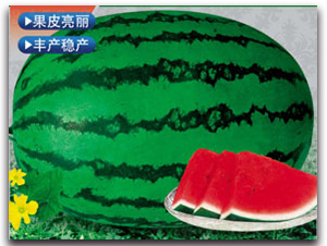�޿�����-��������-����ӯũҵ