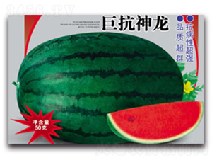�޿�����-��������-����ӯũҵ