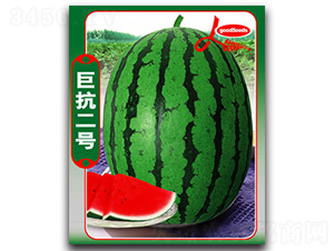 �޿�����-��������-����ӯũҵ