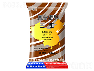 ��笠��Ϸ���26-11-11-�δ�-����