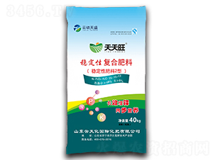 �ȶ��Է��ϸ��Ϸ���24-8-8-������-������ʢ-������