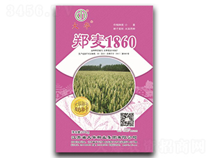 ֣��1860-С������-����ҵ