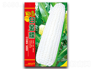 �׽�Ŵ-Ŵ��������-������ҵ