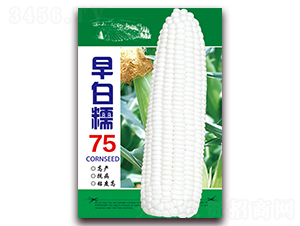 ���Ŵ75-Ŵ��������-������ҵ