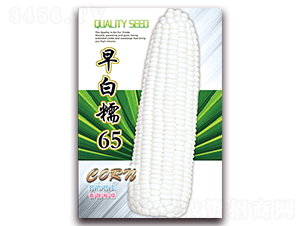 ���Ŵ65-Ŵ��������-������ҵ