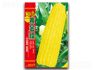 �ƽ�Ŵ-Ŵ��������-������ҵ