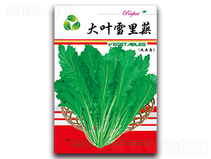 ��Ҷѩ��ޮ-Ҷ������-������ҵ