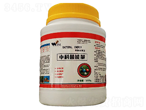 1kg�пƾ�����-��ũ����