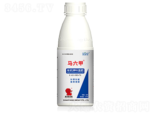 �л���Ҷ���0-60-480+TE-������-������
