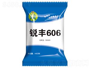 ���606��4400����-��������-ũ����