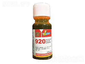 ��ù��920-�̻�����