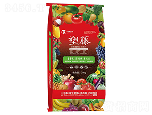 ����ֲ��ˮ�ܷ���-����-�ƽ�����