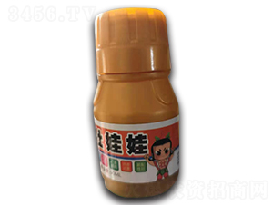 Ҷ���-׳����