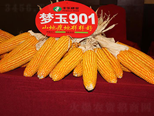 ����901-��������-������ҵ